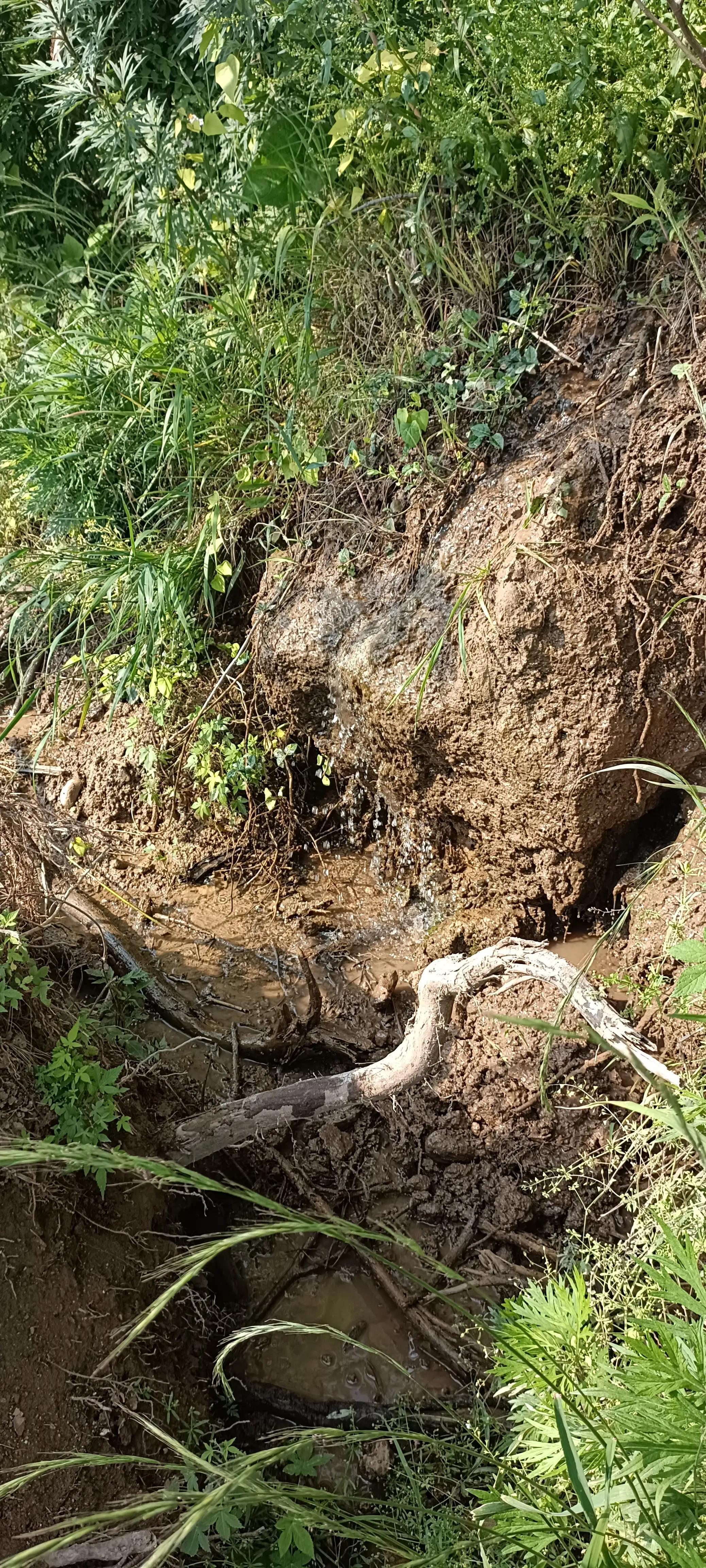 西安钓鱼野钓最新地点,西安钓鱼野钓最新地点指南