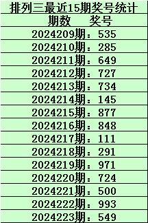 管家婆一码中一肖2024年,管家婆一码中一肖的独特预测，揭秘2024年生肖运势与幸运数字