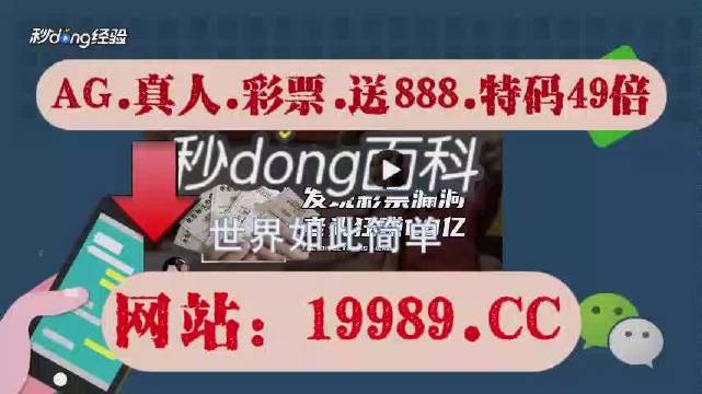 2024澳门天天开好彩大全正版,澳门天天开好彩背后的真相与风险警示