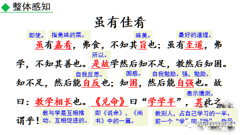 刘伯温四码八肖八码凤凰视频,刘伯温四码八肖八码凤凰视频——警惕背后的违法犯罪风险