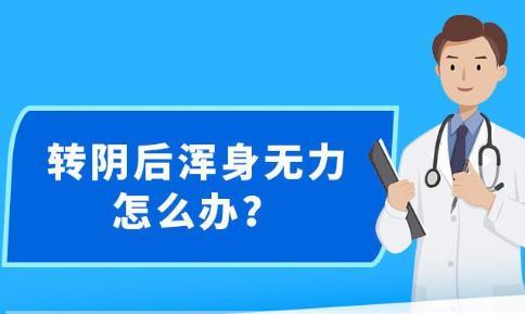 新澳精准资料免费提供生肖版,警惕虚假预测，关于新澳精准资料免费提供生肖版的警示