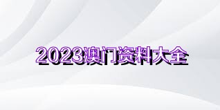 新澳门资料大全正版资料2023,关于新澳门资料大全正版资料2023的探讨与警示