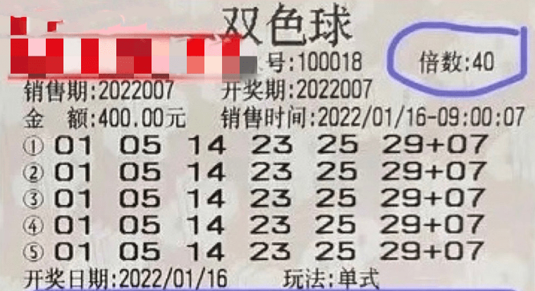 2024新澳门今晚开奖号码和香港,探索彩票奥秘，新澳门与香港的开奖号码展望（2024版）