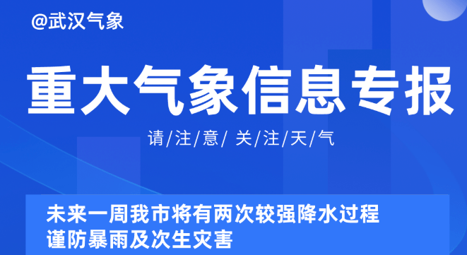 新奥精准资料免费提供630期,新奥精准资料免费提供630期，深度挖掘与解读