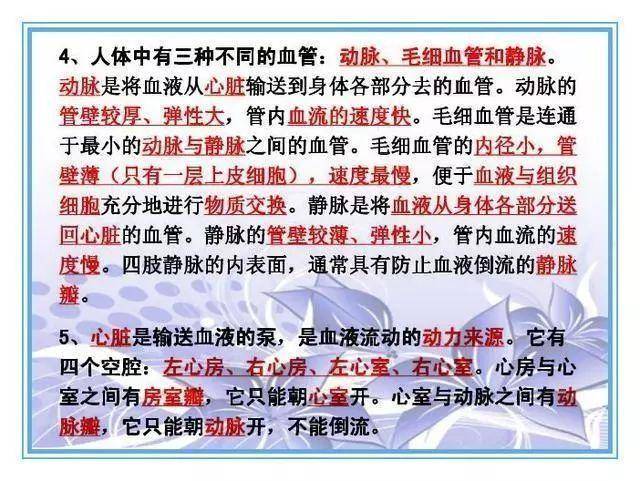 管家婆一票一码资料,管家婆一票一码资料的重要性及应用解析