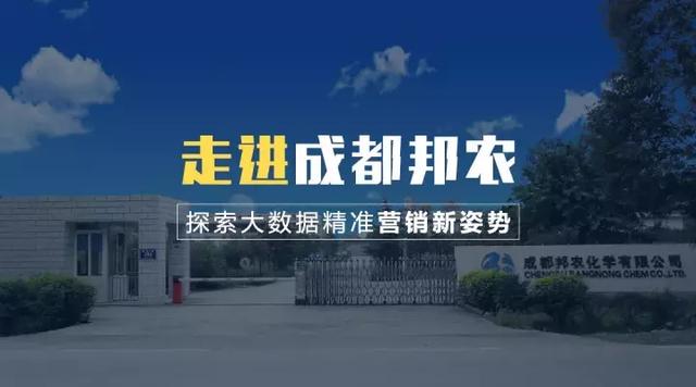 新奥门资料精准网站,新澳门资料精准网站，探索现代信息时代的资讯获取之道