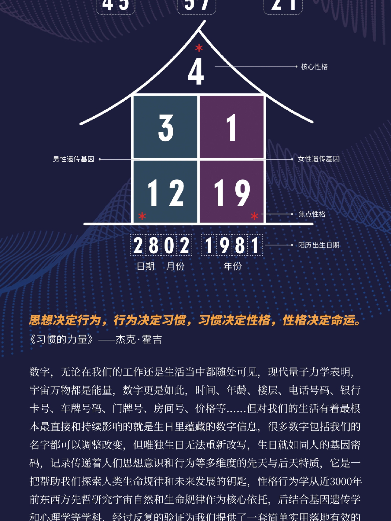 777778888精准跑狗,精准跑狗，探索数字世界中的新奥秘——以数字组合777778888为例